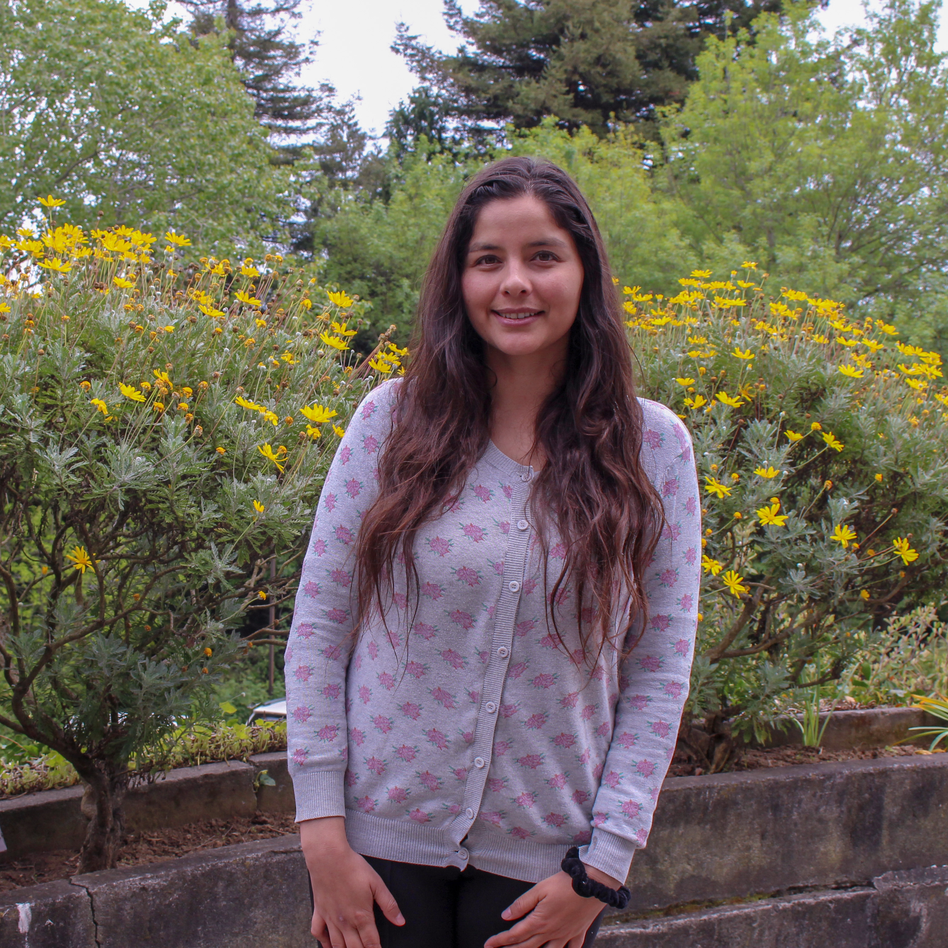 ACADÉMICO – FERNANDA ÁLVAREZ A.