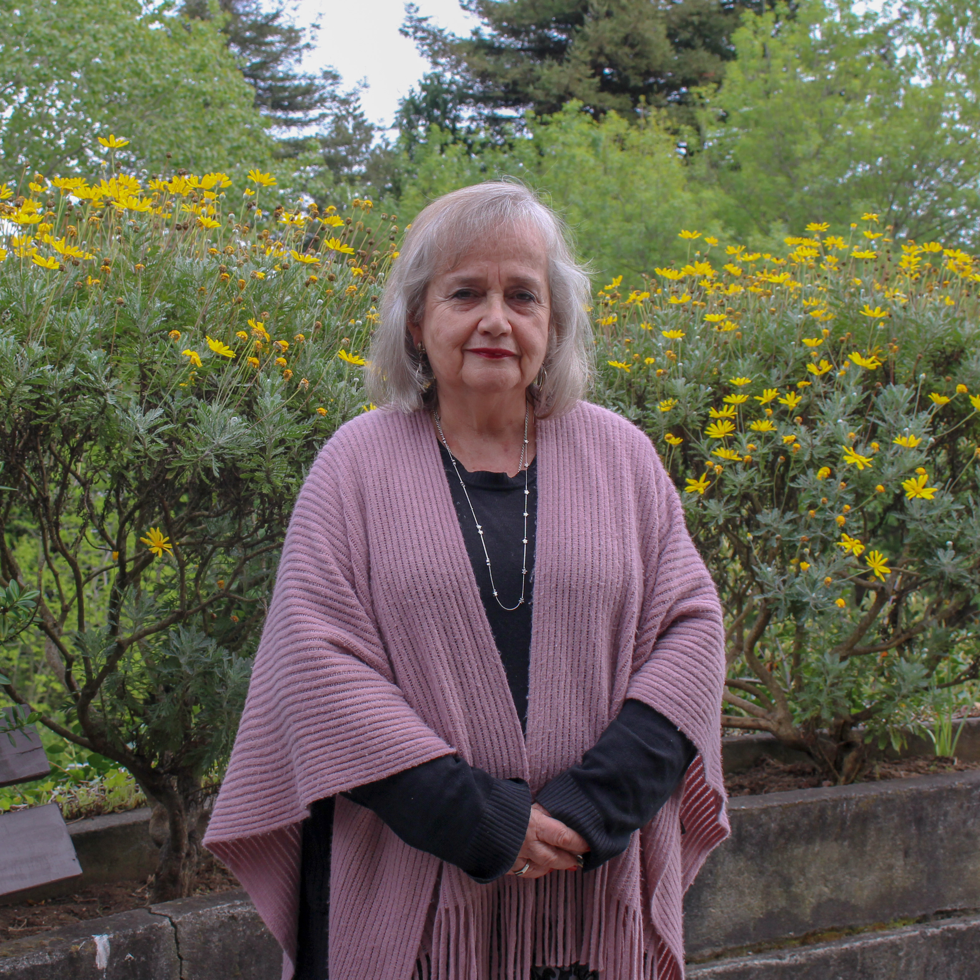 ACADÉMICO – SYLVIA PALMA H.