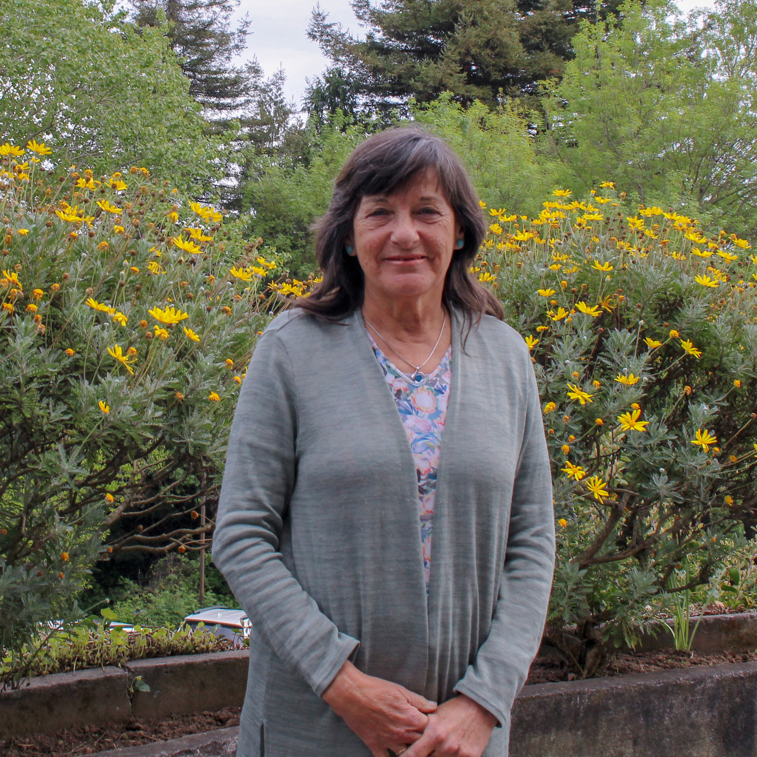 ACADÉMICO – VERÓNICA PINEDA M.